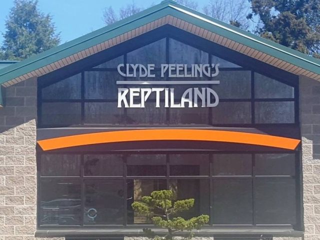 Clyde Peeling's Reptiland