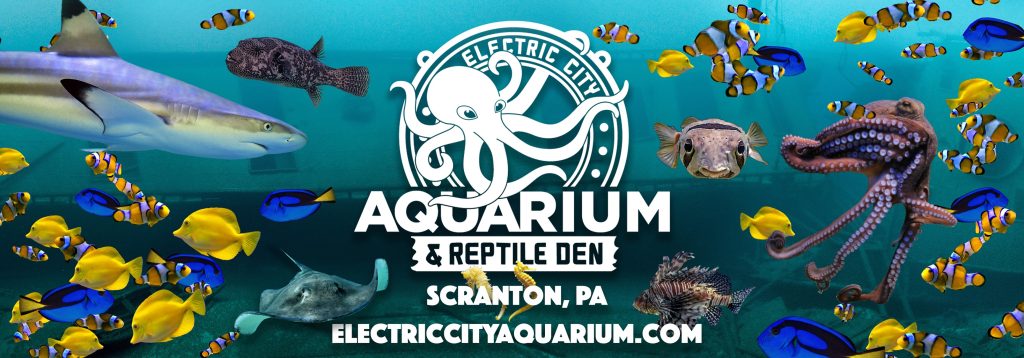 Electric City Aquarium