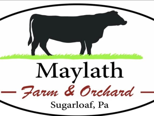 Outdoor Activities - Susquehanna Kids