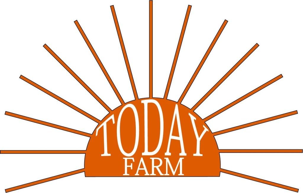 Today Farm & Market