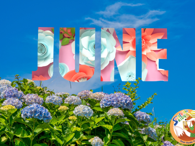 June Family Fun Guide☀️Upcoming Events & Kids Activities Near You
