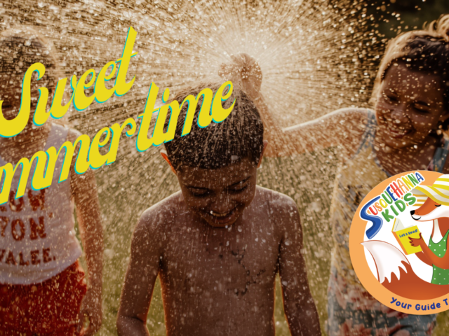 Sweet Summertime: FREE and Low Cost Local Programs