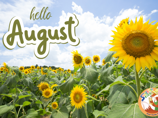 15+ Awesome August Activities