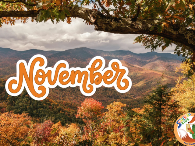 November Fun for Everyone!